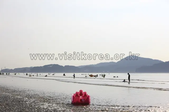 신두리해수욕장 사진
