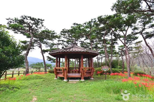 영광불갑테마공원 사진