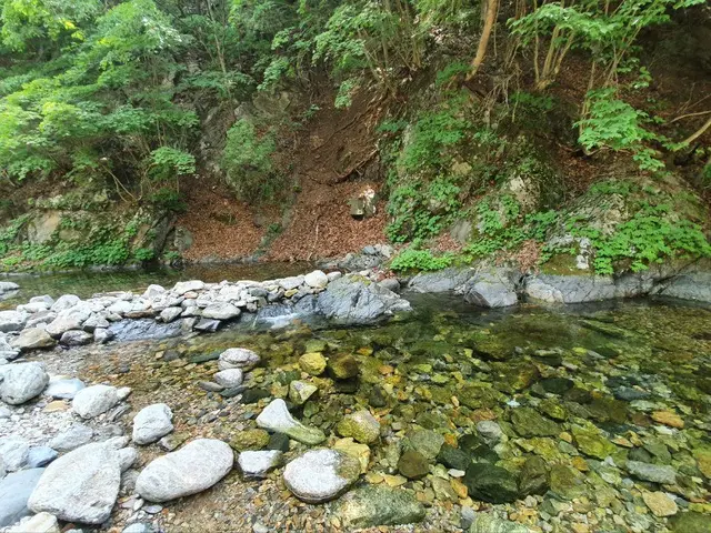 검산별빛캠핑장 사진