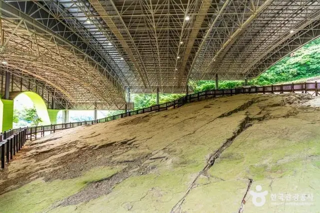 화순 서유리 공룡발자국 화석산지 사진