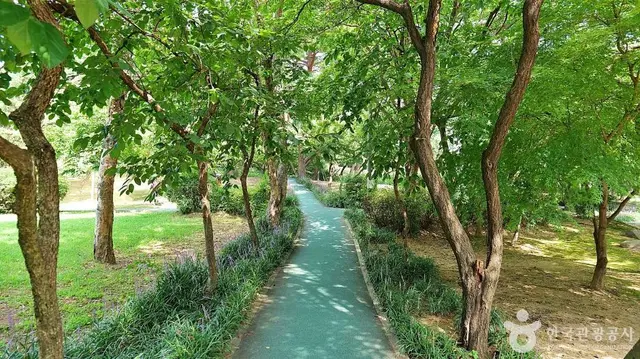 아시아공원 사진