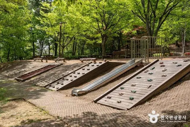 알콩달콩유아숲체험원 사진