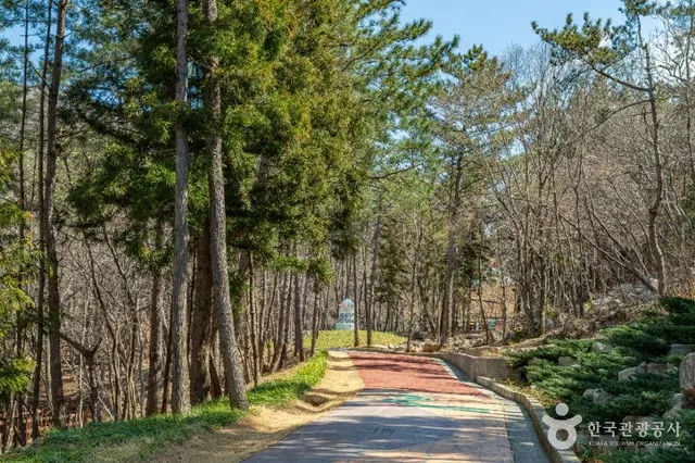 숲소리공원 사진