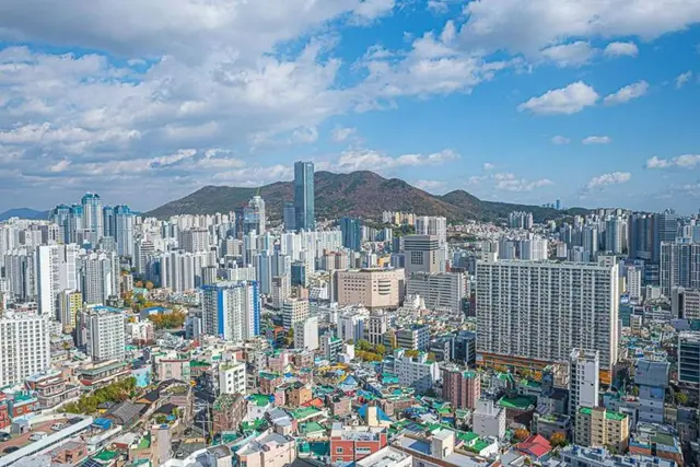 책마루전망대 사진