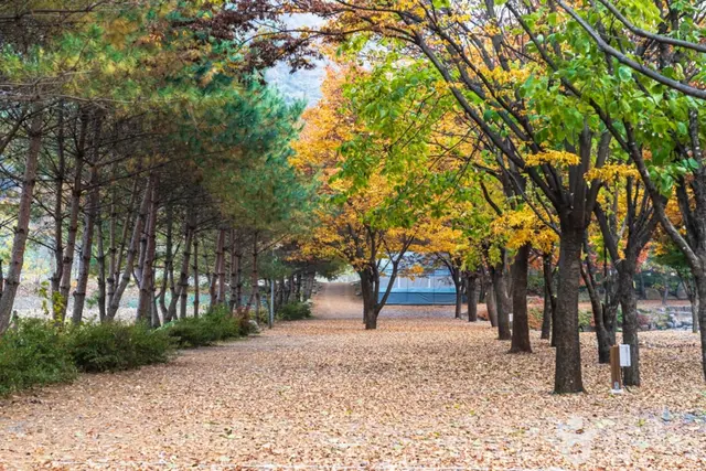 월악오토캠핑장 사진
