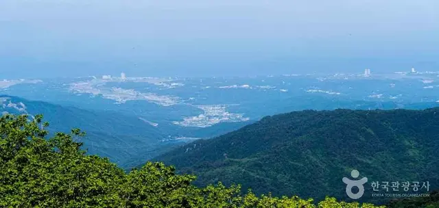 삼양라운드힐 사진