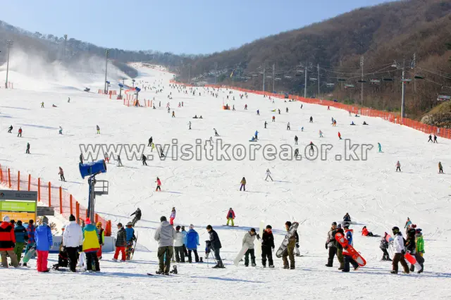 곤지암리조트 사진