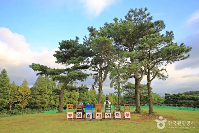 화랑의언덕 사진