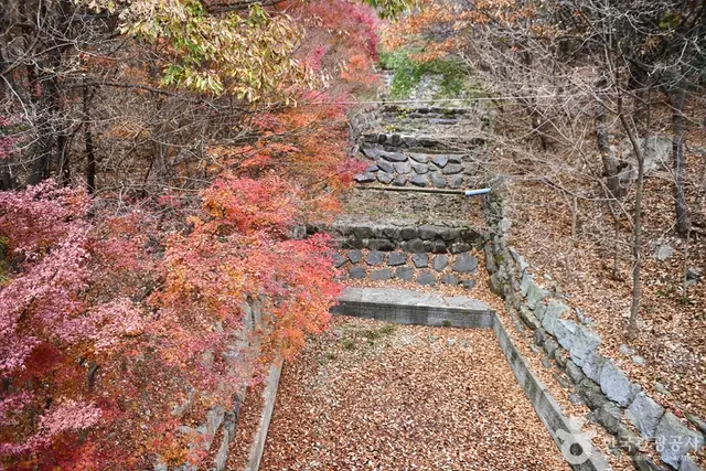 흑석산 자연휴양림 사진