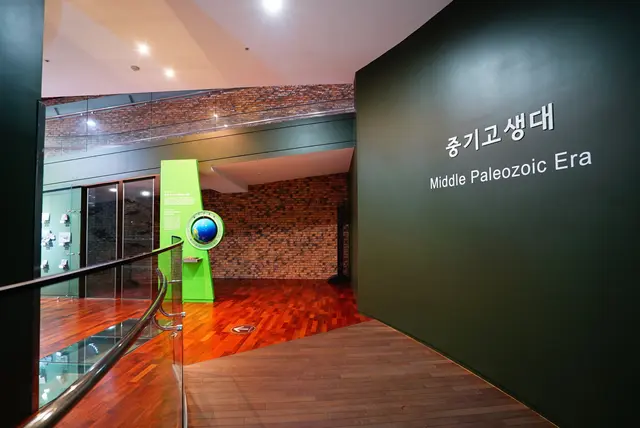 태백고생대자연사박물관 사진