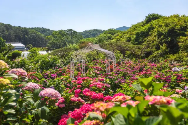 율봄식물원 사진