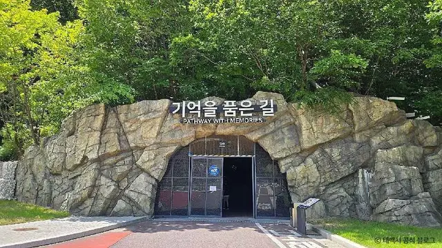 통리탄탄파크 사진