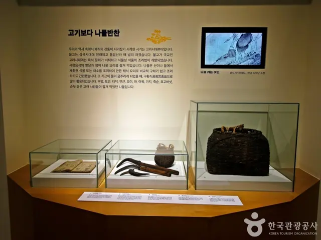 대전선사박물관 사진