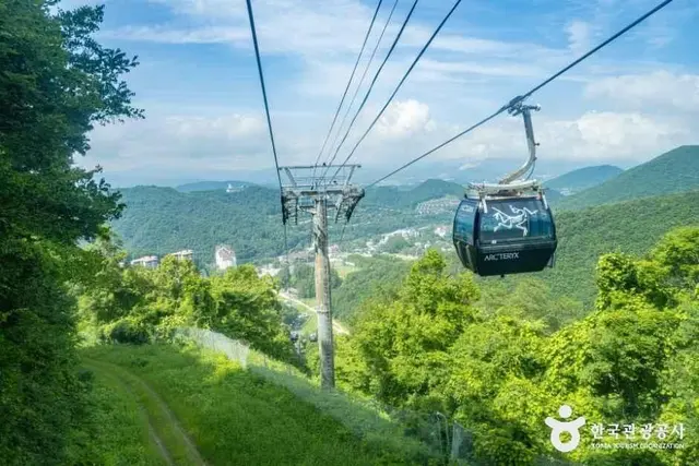모나용평 사진