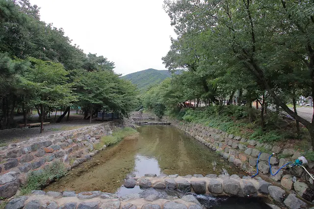 청도수리덤오토캠핑장 사진