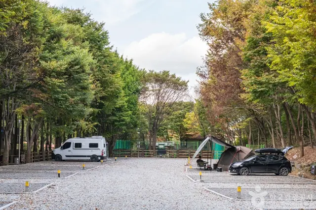 칠갑산자연휴양림 사진