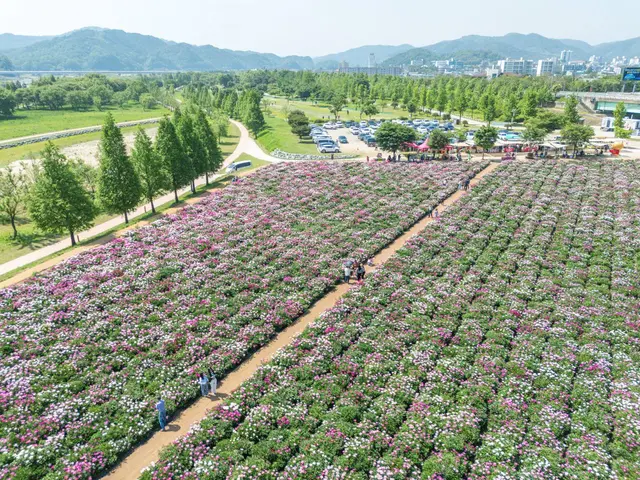 핫들생태공원 사진
