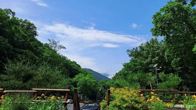 국립두타산자연휴양림 사진