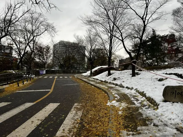 남산인권숲 사진
