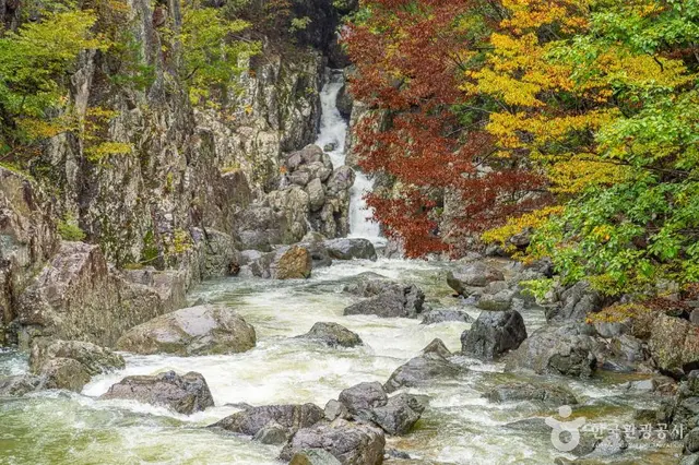 하옥계곡 사진