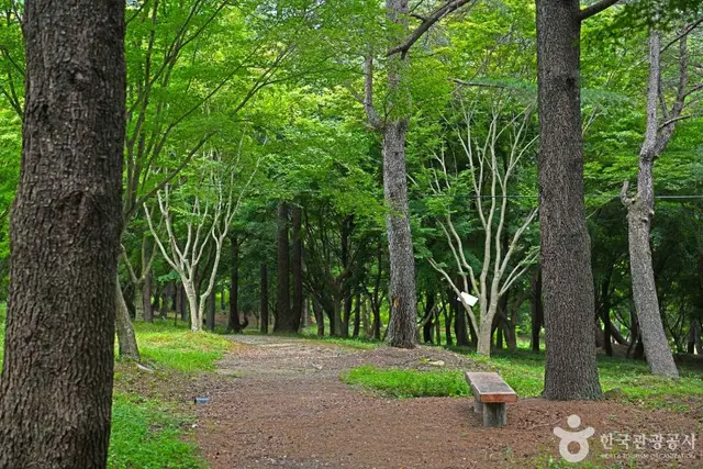정읍 내장산수목원 사진
