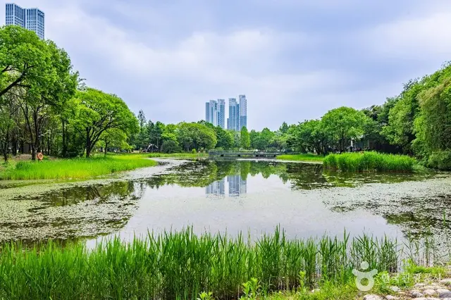 서울숲 사진
