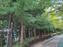 대현산배수지공원 사진