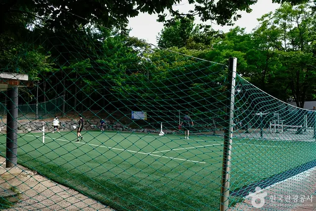 노해체육공원 사진