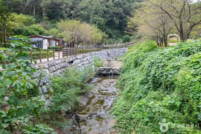 연일중명자연생태공원 사진