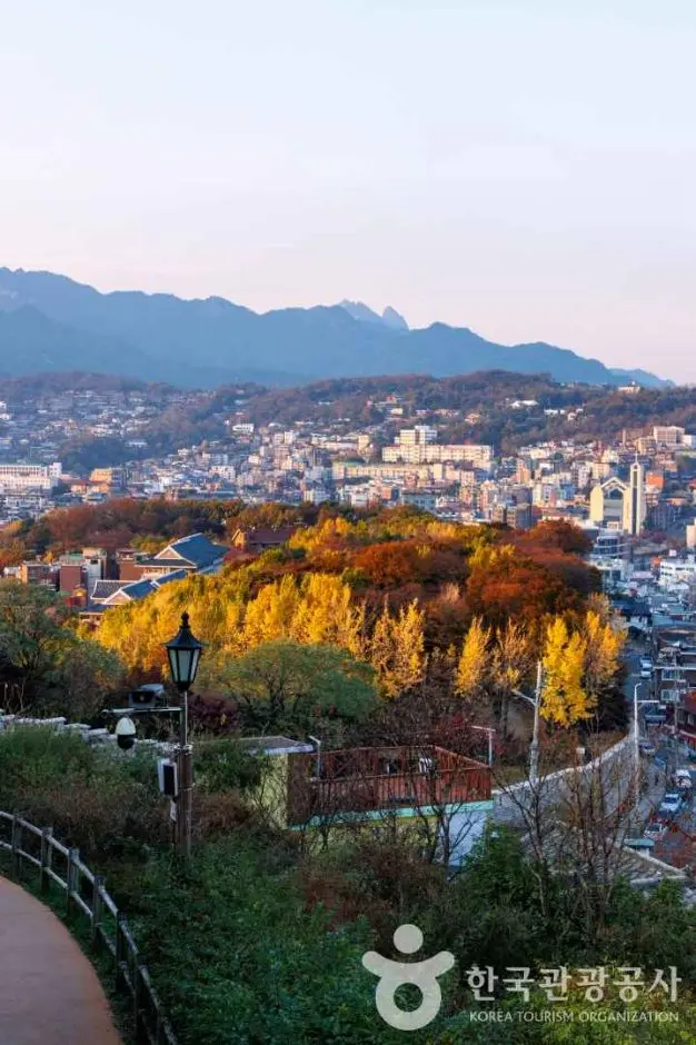 마로니에공원 사진