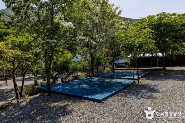 소백산오토캠핑장 사진