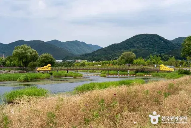 황미르랜드 테마공원 사진