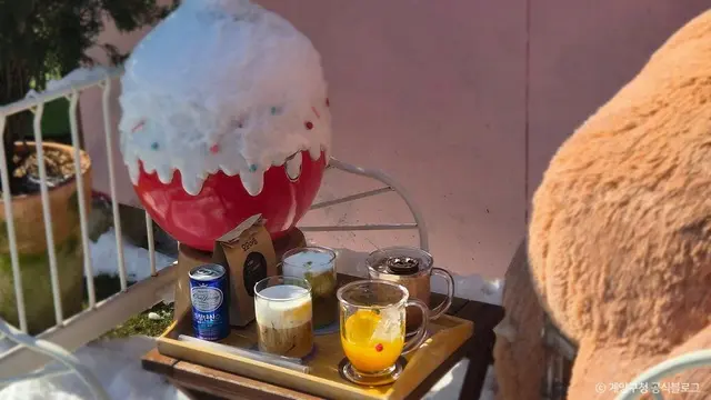모모아트 사진