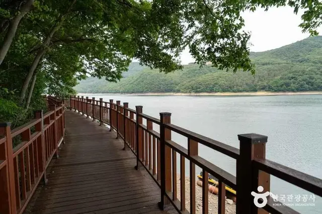 옐로우 출렁다리 사진