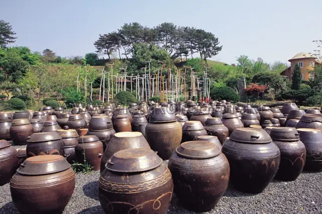 서천식물예술원 사진