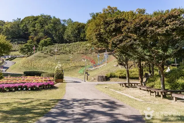 용인농촌테마파크 사진