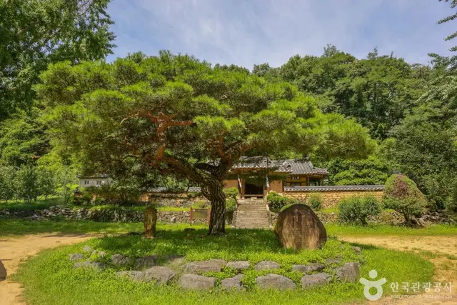 평광동 사과마을 사진