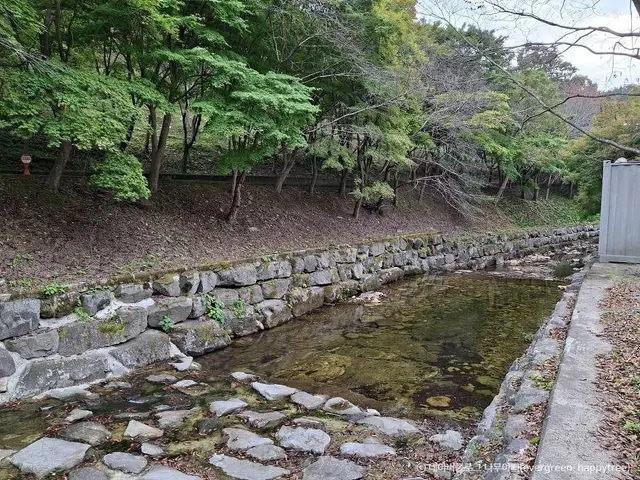 한천자연휴양림 사진