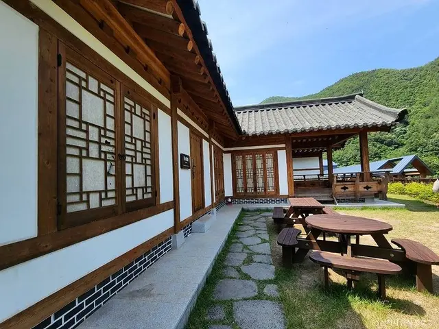 삼척활기자연휴양림 사진