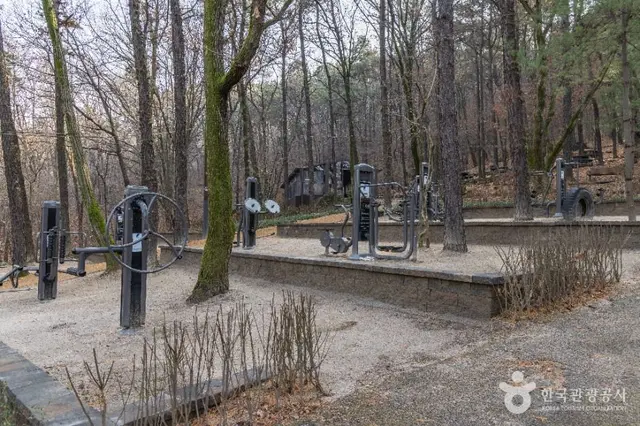대모산도시자연공원 사진