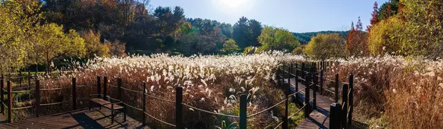 통영RCE세자트라숲 사진