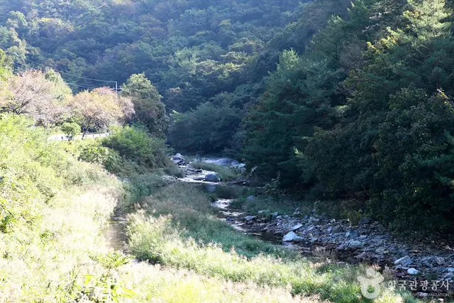 법흥계곡 사진