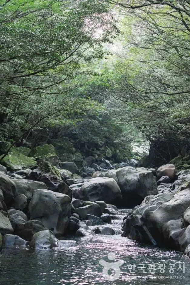 돈내코유원지 사진