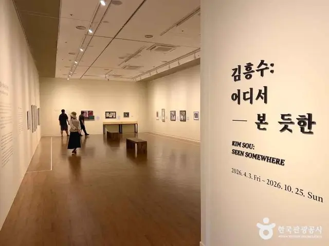 제주현대미술관 사진