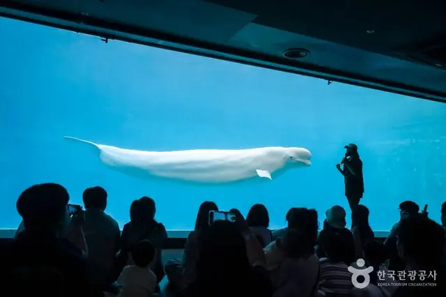거제씨월드 사진