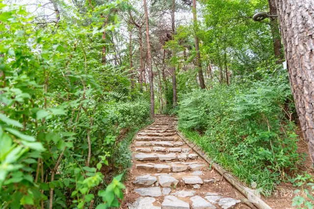 오금공원 사진