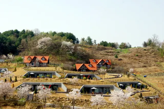 연천미라클타운 사진