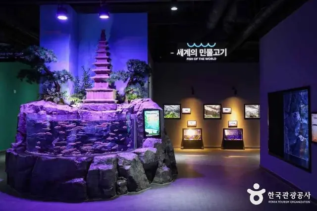 충주아쿠아리움 사진