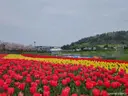 삼학도공원 사진