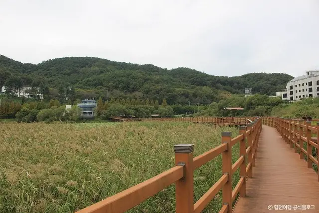 정양늪생태공원 사진